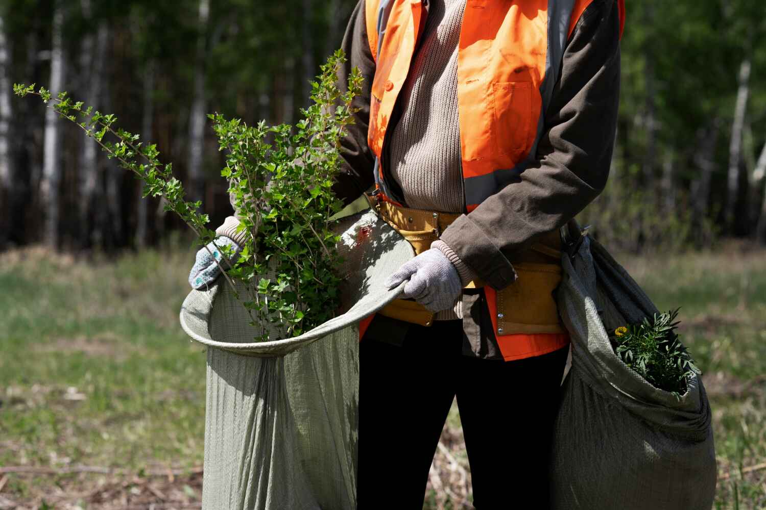  , USA TreeGuard Tree Service Pros